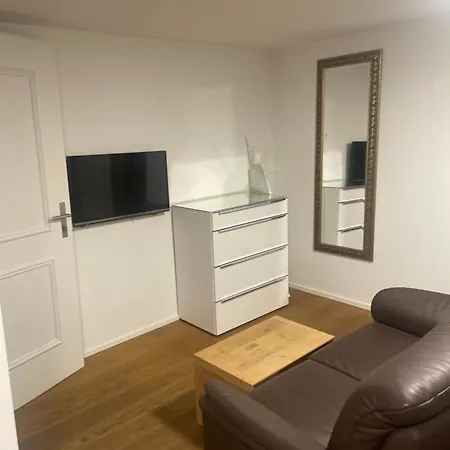 Splendid Apartments Zuerich City 3* Zurigo