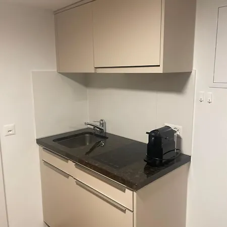 Aparthotel Splendid Apartments Zuerich City 3*