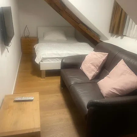 Splendid Apartments Zuerich City Aparthotel 3*